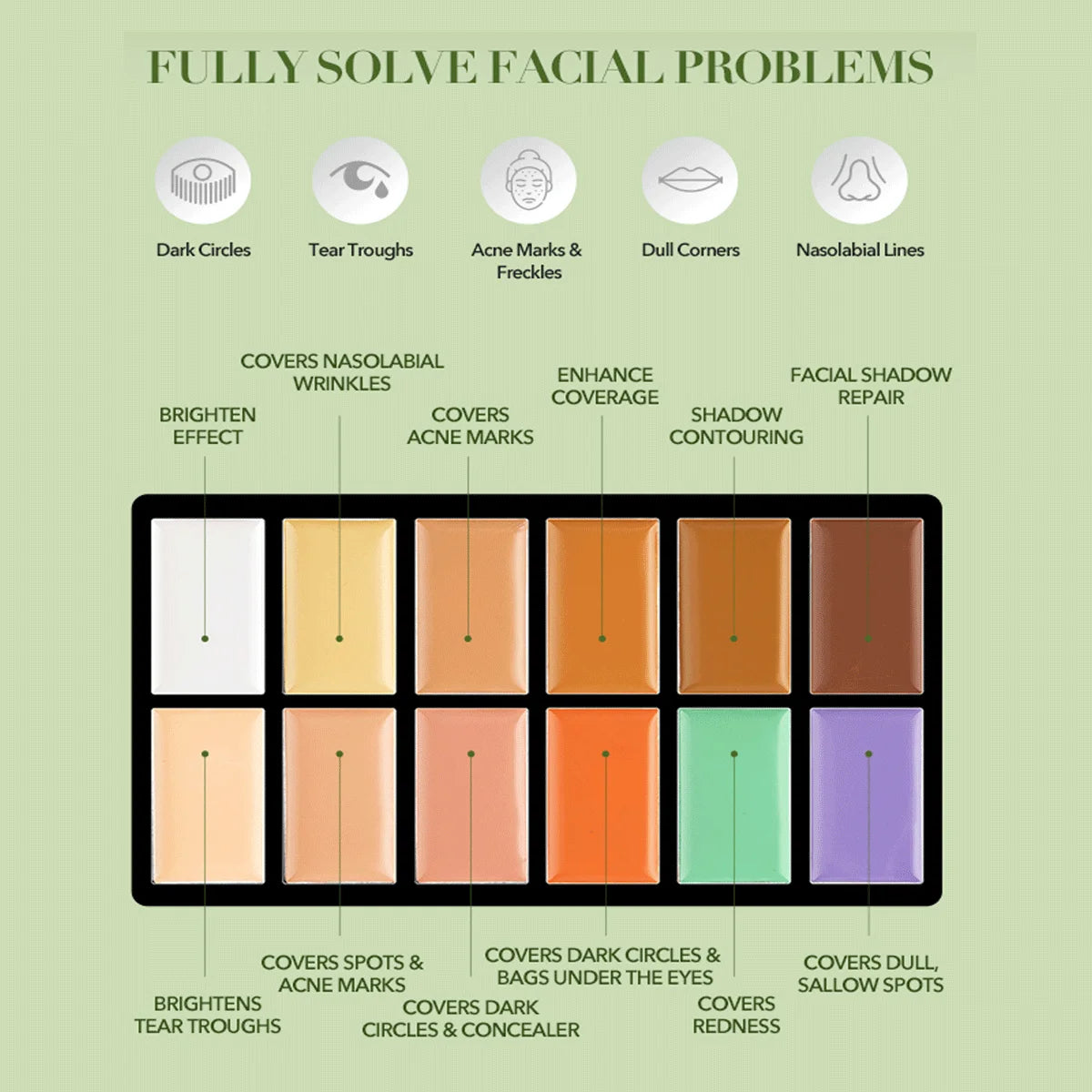 12-Color Concealer Foundation Cream